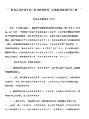 优质小学教学工作计划与饮料公司市场营销策划书合集