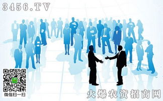 品牌整合营销策划 你不能不知道的核心方法与实战策略